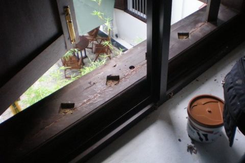 Heritage Building Restoration